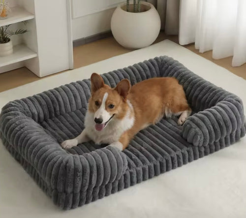 Silver Snout Orthopedic Memory Foam Bed — Senior Cats & Small Dogs (up to 8kg)